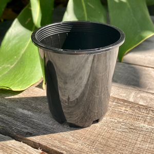 Complete Nursery Pot Sample Set