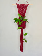 Load image into Gallery viewer, &#39;Diamanté&#39; Macrame Wall Plant Hanger
