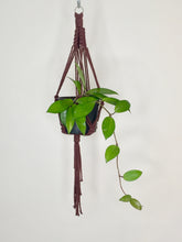 Load image into Gallery viewer, &#39;Half Straight&#39; Macrame Plant Hanger
