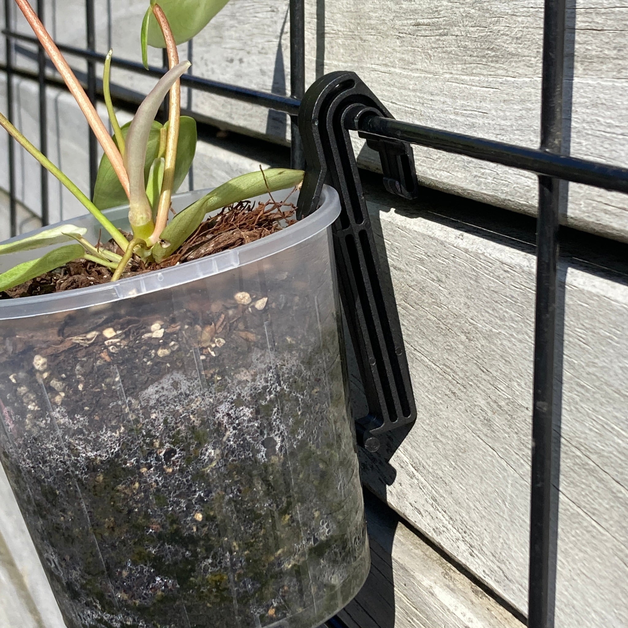 plant pot hanger clips Buy Pot Hanging Clips – GrowingGreen NZ