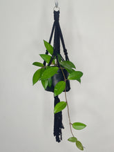 Load image into Gallery viewer, &#39;Knotted&#39; Macrame Plant Hanger
