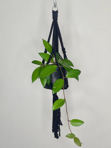 'Knotted' Macrame Plant Hanger