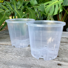 Load image into Gallery viewer, Clear Nursery Pot 14cm SECONDS
