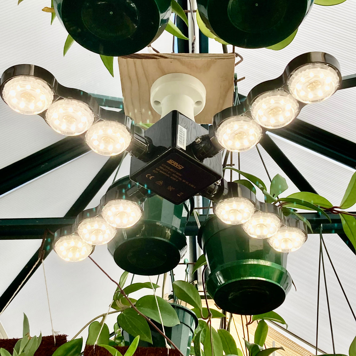 Buy 60 Watt Sansi LED Grow Light GrowingGreen NZ