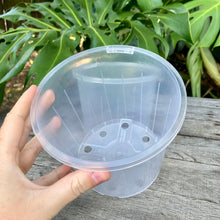Load image into Gallery viewer, Clear Nursery Pot 14cm SECONDS
