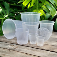 Clear Nursery Pot Sample Set