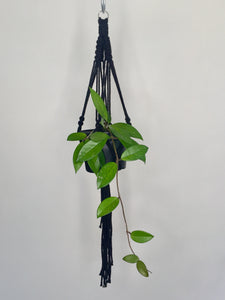 'Half Straight' Macrame Plant Hanger