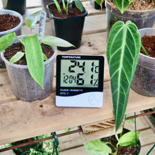 Load image into Gallery viewer, Digital Temperature &amp; Humidity Thermometer
