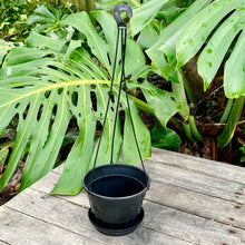 Load image into Gallery viewer, Hanging Pot Green/Black 17cm (1.5L)
