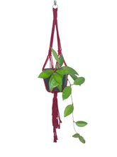 Load image into Gallery viewer, &#39;Knotted&#39; Macrame Plant Hanger
