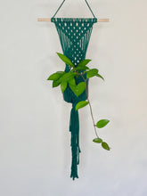 Load image into Gallery viewer, &#39;Diamanté&#39; Macrame Wall Plant Hanger
