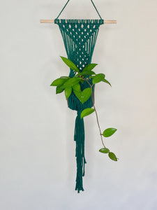 'Diamanté' Macrame Wall Plant Hanger