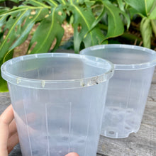 Load image into Gallery viewer, Clear Nursery Pot 12cm SECONDS
