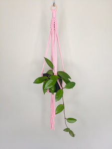 'Half Straight' Macrame Plant Hanger
