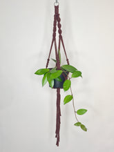 Load image into Gallery viewer, &#39;Fully Twisted&#39; Macrame Plant Hanger
