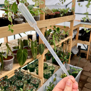 Growth Technology Foliage Focus