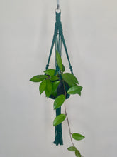 Load image into Gallery viewer, &#39;Half Straight&#39; Macrame Plant Hanger
