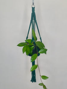 'Half Straight' Macrame Plant Hanger