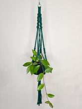 Load image into Gallery viewer, &#39;Fully Twisted&#39; Macrame Plant Hanger
