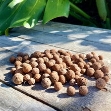 Load image into Gallery viewer, Hydro Clay Balls (LECA)
