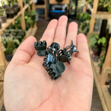 Load image into Gallery viewer, Plant Support Butterfly Clips

