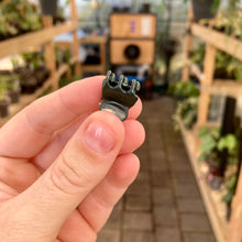Load image into Gallery viewer, Plant Support Butterfly Clips
