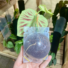 Load image into Gallery viewer, Clear Propagation Rooting Ball
