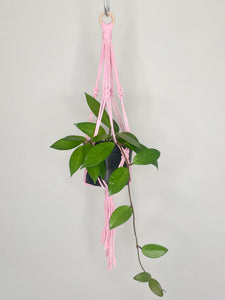 'Knotted' Macrame Plant Hanger