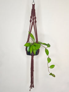 'Half n Half' Macrame Plant Hanger
