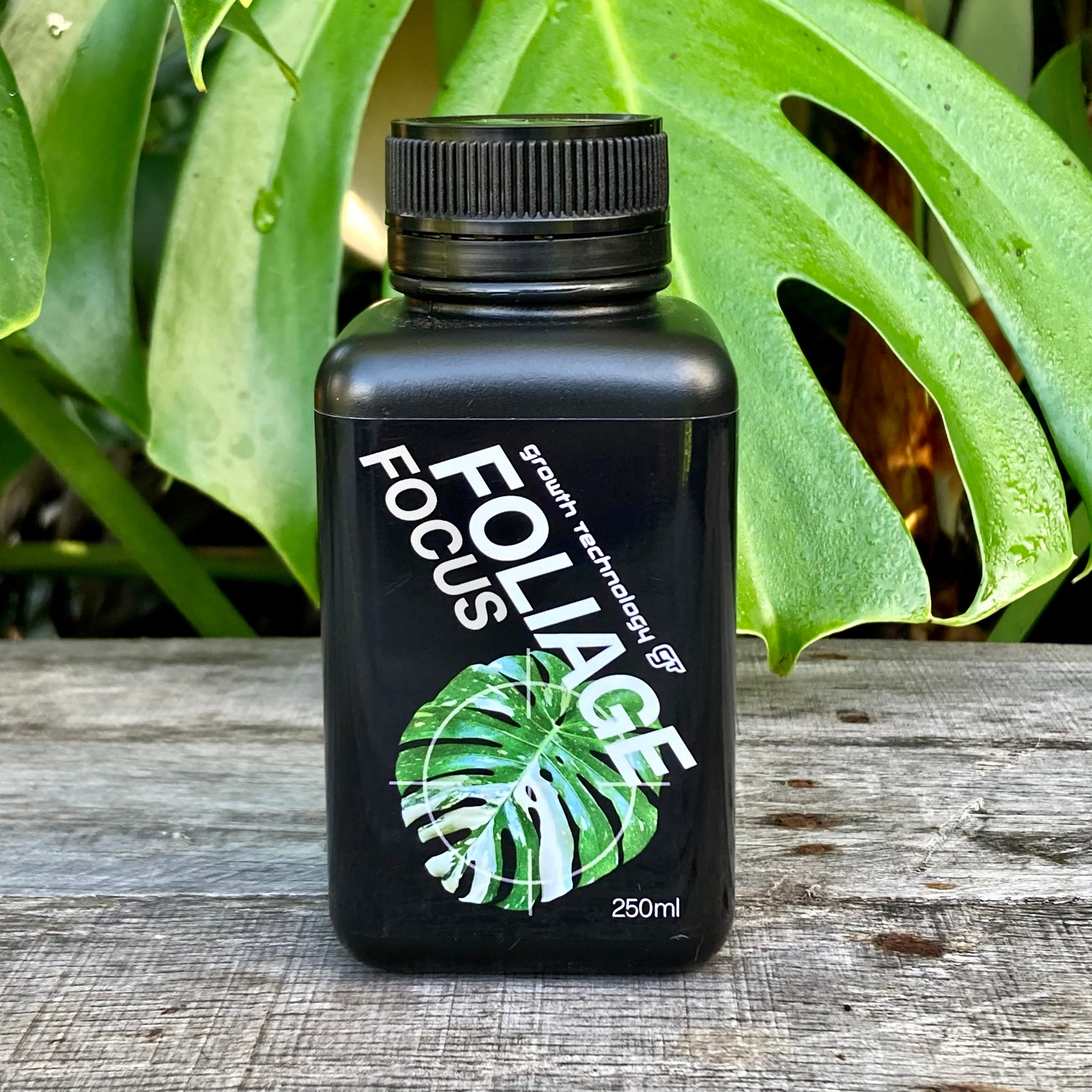 gt focus on foliage plant fertilizer Buy Growth Technology GT Foliage Focus 250ml / 1L – GrowingGreen NZ
