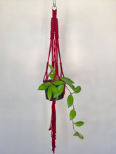 Load image into Gallery viewer, &#39;Fully Knotted&#39; Macrame Plant Hanger
