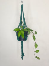 Load image into Gallery viewer, &#39;Knotted&#39; Macrame Plant Hanger
