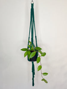 'Fully Knotted' Macrame Plant Hanger