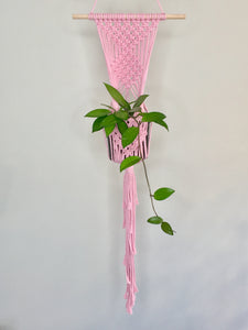 'Diamanté' Macrame Wall Plant Hanger