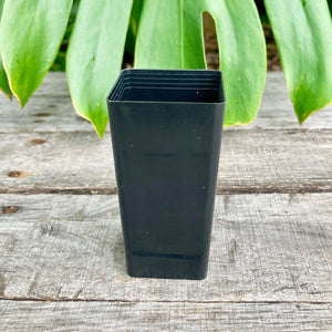 Complete Nursery Pot Sample Set