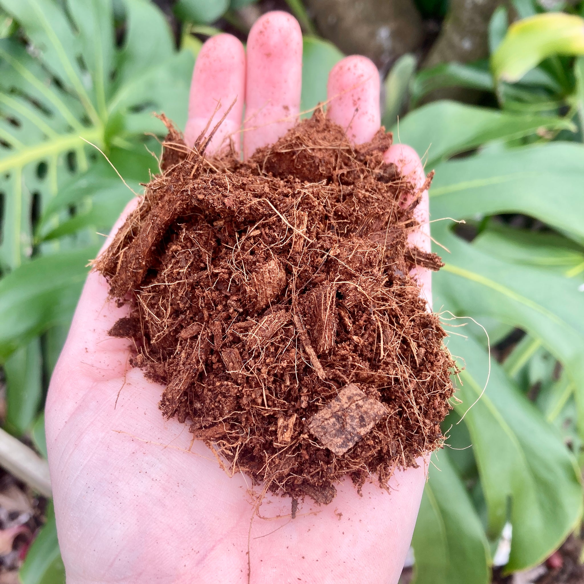 se alkove Kloster Coco Chip & Coco Coir 50/50 Blend – GrowingGreen NZ