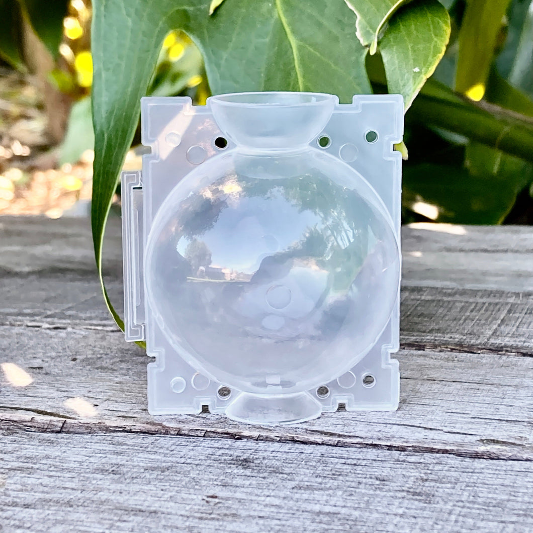 Clear Propagation Rooting Ball