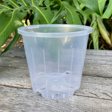 Load image into Gallery viewer, Clear Nursery Pot 14cm SECONDS
