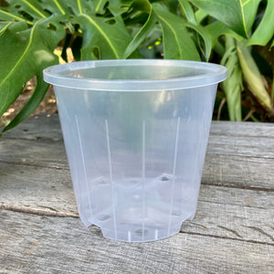 Clear Nursery Pot 14cm SECONDS