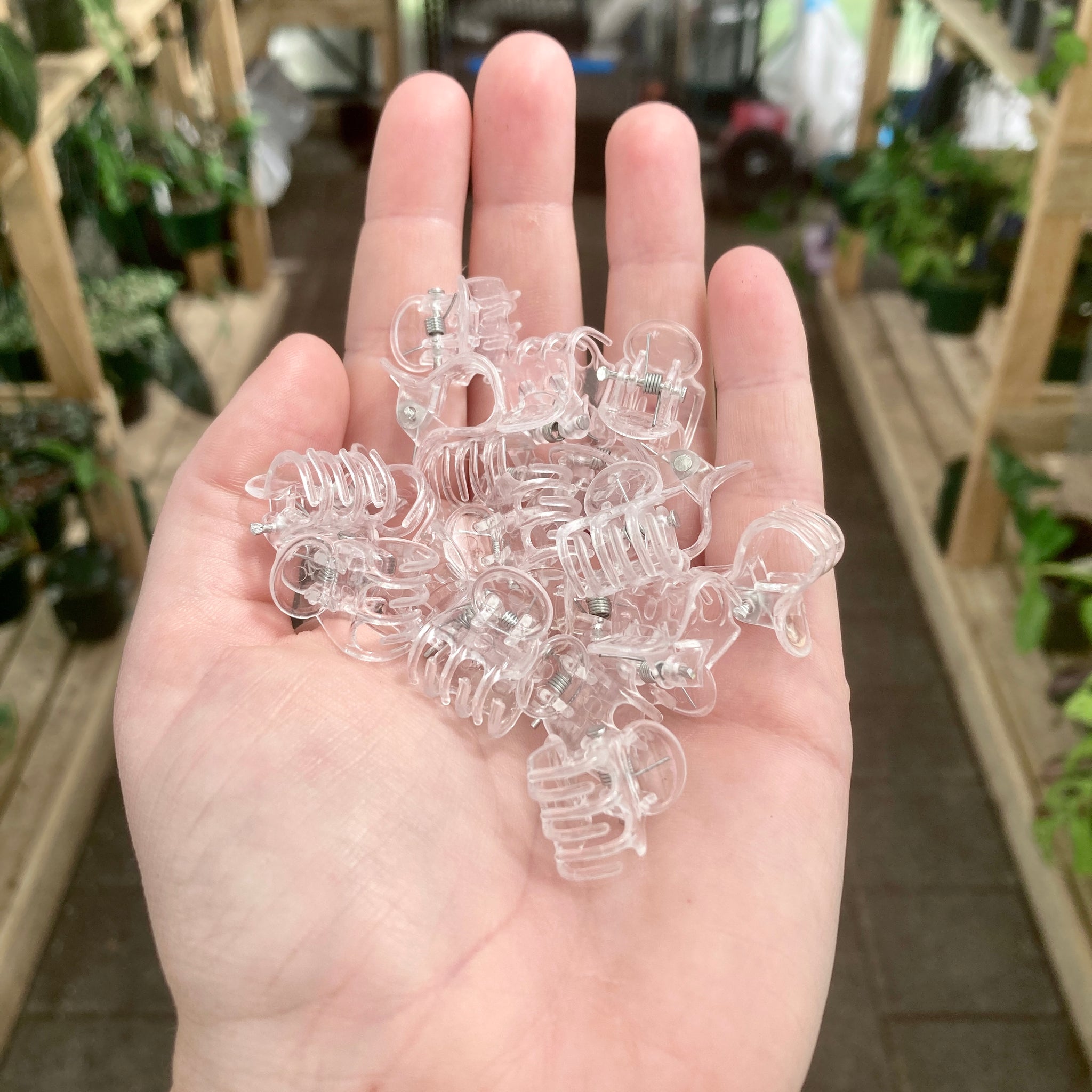 Buy Plant Support Butterfly Clips Clear / Green – GrowingGreen NZ