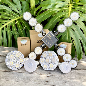 10 Watt Sansi LED Grow Light