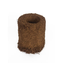 Load image into Gallery viewer, Tree Fern Fibre Pot 10cm
