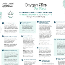 Load image into Gallery viewer, Oxygen Plus Hydrogen Peroxide + Mister 360 Combo
